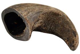 Buffalo Hornz 671963015549 Quart Dog Water Horn Treat