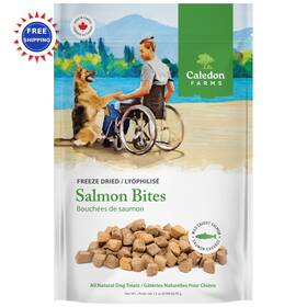 Fd-s90 Caledon Farms Dog Treats Freeze Dried Salmon 3.2 Ounce Led 3.2oz Chews Natural