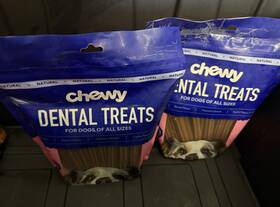 Skc101 Chewy Dental Treats Bacon Flavor For Dogs 32 Count Exp. Feb 13 2027