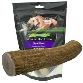 Dewg1p Deluxe Naturals 1-pack Giant Whole Elk Antler Dog Chews 6 To 10 In Long