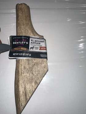 Moose37 Dentley Moose Xl Antler 7 1/2 Inch Dog Chew Dentleys For Large Dogs #37 Very Heavy Thick