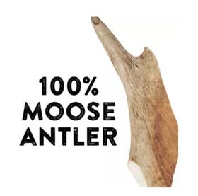 5299949 Dentleys Natures Chews Xxl Split Moose Antler Dog Chew 8.5oz Grade A New