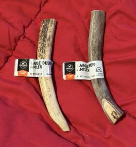 Exp04428a303 Dentleys Large Deer Antler Dog Chews Antlers Exp020124m