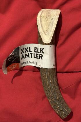 Exp072328a303 Dentleys 2-dentleys Xxl Elk Antler Dog Chew Antlers Horns