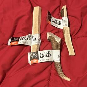 Exp123027l303 Dentleys Xl And Xxl Split Elk Antler Dog Chews Antlers Exp061928303