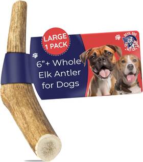 Devil Dog Pet Co 313047156105 Co. Elk Antlers For Dogs 1 Pack Large 6 Inch Grade A Long Lasting