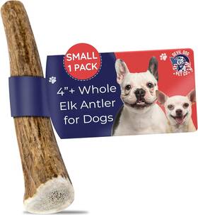 Devil Dog Pet Co 764966979434 Co. Elk Antlers For Dogs Small 4 Inch 1 Count Pack Of
