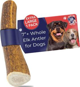 Devil Dog Pet Co 764966979496 Co. Elk Antlers For Dogs Extra Large 7 Inch 1 Pack Of
