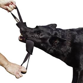 Dingo Gear Www.dingogear.com 1977 B07x5ct1vs Www.dingogear.com Tug Toy For Dog Bumper Training
