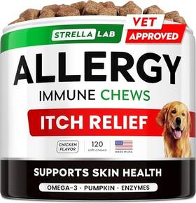 B08g2sl4bh Dog Allergy Relief And Anti Itch Support Chews Without Mega 3 Real Ingredients Rea