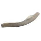 Dr6 Prairie Dog Pet Products Deer Antler Regular 844232042571