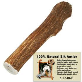 Elk Antler Dog Treats 610696849519 For Dogs Extra Large Grade A Antlers Natural Shed