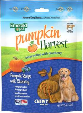 00645-pb Emerald Pet Pumpkin Harvest Dog Treats - Low-fat Chewy 1 Count Pack Of