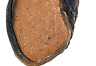 Fba-chpb-05 Pawstruck Peanut Butter Filled Cow Hooves For Dogs Made In Fba-chpb-05 Pawstruck Peanut Butter Filled Cow Hooves For Dogs Made In