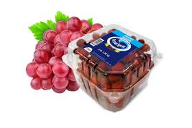 Fresh Produce 066022001449 Pandol Red Seedless Grapes 48 Oz 3 Pound Pack Of 1