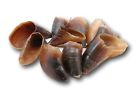 Glm0125bv Great Lakes Merchandise Natural Cow Hooves For Dogs 735255237092