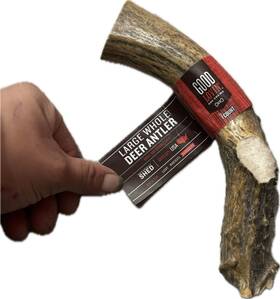 2025461 Good Lovin Large Whole Deer Antler For Dogs