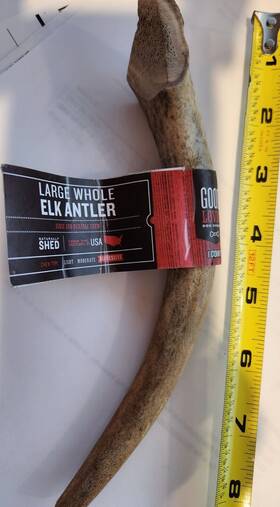 Good Lovin 800443470299 Large Whole Elk Antler Aggressive Chewers For Dogs 7-8 Inches Long
