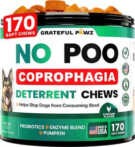 Grateful Pawz Jsy-1 No Poo Coprophagia Deterrent Chews For Dogs With Probiotics Enzyme Blend Pumpkin
