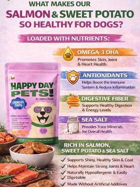 Happy Day Pets 850078301383 Real Salmon Dog Treats - Crunchy Chips With Sweet Potato