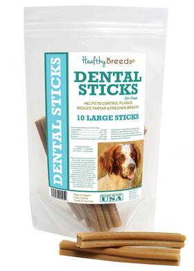 Healthy Breeds 192959021059 Irish Red And White Setter Dental Sticks Large 10 Count