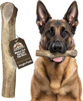 Heartland Antlers 806810324134 Elk For Dogs - Grade A 1 Count Pack Of Varies
