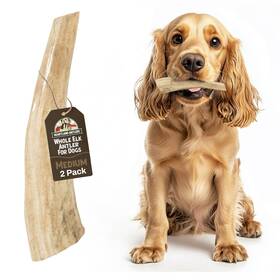 Heartland Antlers 850010541365 Elk For Dogs Whole 5 6 Inch Medium 2-pack Grade A Natural