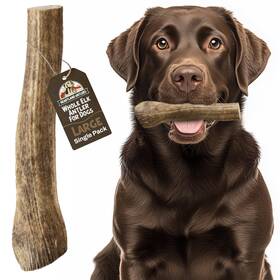 Heartland Antlers 850010541495 Elk For Dogs - Daily 1 Count Pack Of Light Brown/beige