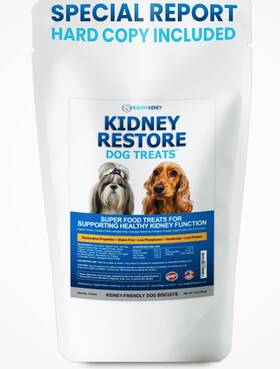 Kidney Restore 365162230567 Dog Treats With Hard Copy Special Report Support Chew B
