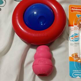 25-169 Kong Nylabone Easy Treat Peanut Butter And Puppy Starter Kit Chews Chicken Bacon