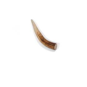 Little Loyals 628011208293 100% Natural Whole Deer Antlers For Dogs 1.76 Ounce Pack Of 1