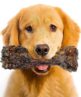Lively Tails 065008660019 Large Dog Bones Long Lasting Liver Coated For Aggressive Chewers