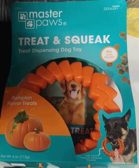 253-6332 Master Paws Pet Chew Toy Pumpkin Flavor Treats