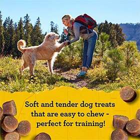 00613423330595 Merrick Pet Care Mini Naturals Soft Dog Treats For Training And Chewy