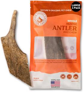 Mountain Valley 850071263138 Organic Grade A Whole Moose Antlers Chew For Aggressive Dogs - L