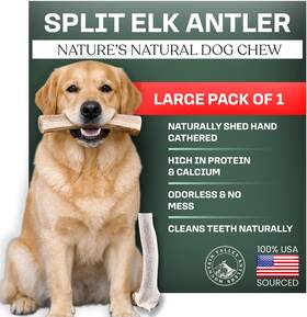 Mountain Valley Antlers 850071263121 Elk For Dogs - 100% Natural And Organic Chew Large