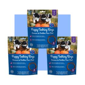 N-bone 657546803239 Puppy Teething Rings Pumpkin Flavor 6 Count Bag Multi Pack Total 3 Bags 21