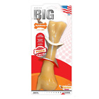 Ncf107p Nylabone Dura Chew Chicken 611102155781