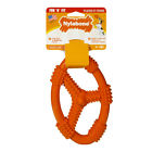Ncf601w Nylabone Fun N Fit 018214825142