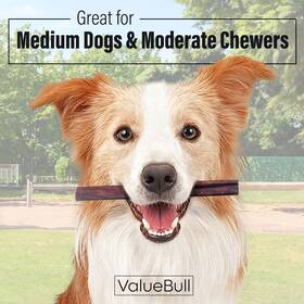 No 213127578738 Collagen Sticks For Dogs 6 Inch Medium Chews Natural Long-lasting Dog Treats