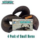 Not Applicable Pack Of Buffalo Hornz Small Long 671963015525