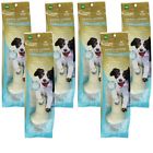 Npic631375pk6 N-bone 6-pack Pearly Whites