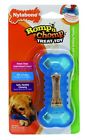 Nth700p Nylabone Romp N Chomp 018214828921
