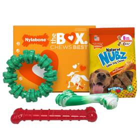 4000406866 Nylabone Chew Toys And Nubz Treats Gift Box 4-count Durable Chews For Dogs