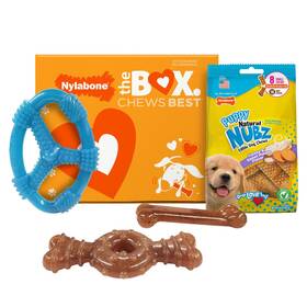 4000406937 Nylabone Puppy Chew Toys And Nubz Treats 4-count Gift Box For Teething