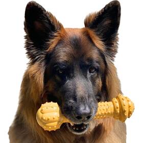 B00ee65k88 Nylabone Power Chew Barbell Dog Toy Aggressive Chewers Peanut Butter Flavor