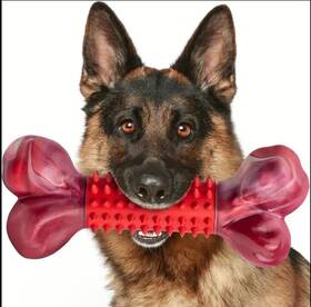 Ne803tp Nylabone Indestructible Beef Flavored Dog Toy For Aggressive Chewers