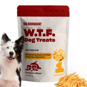 Oh Norman 850055308435 Single Ingredient Pumpkin Dog Treats By Kaley Cuoco Healthy T