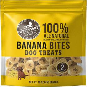 70292 Outward Hound Wholesome Pride Banana Bites 100% All-natural Limited Ingredient Dog Treats 16