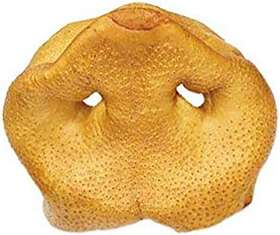 Pawstruck.com 705354019998 Pig Snout Dog Treats 10 Pack Natural American Made Bulk Piggy